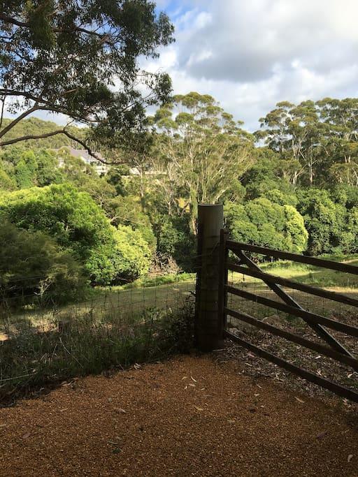 Avoca Beach And Bush エクステリア 写真